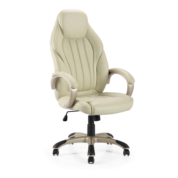 Leather & PU Office Chair 243PP